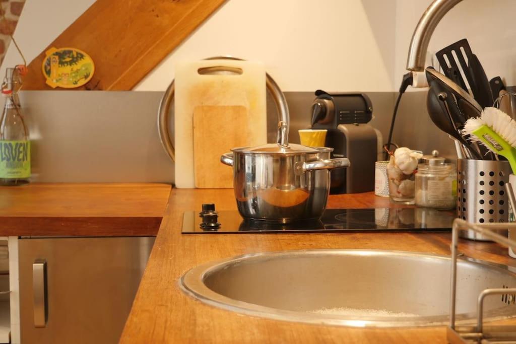 Oparadi 'Le Vieux Lille' A Deux Pas Des Boutiques Et Restaurants المظهر الخارجي الصورة